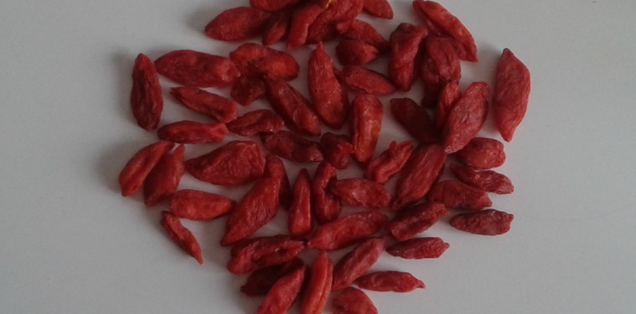 BACCHE DI GOJI IL FRUTTO DELLA LONGEVITA’